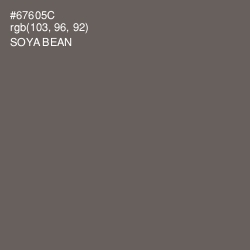 #67605C - Soya Bean Color Image